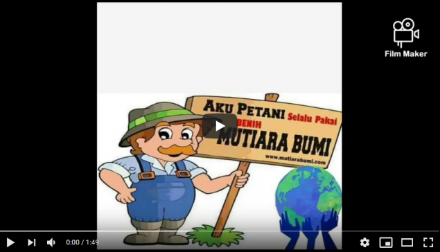 kacang panjang jaliteng - kelompok Ku Kecil tapi Cita cita Ku Besar